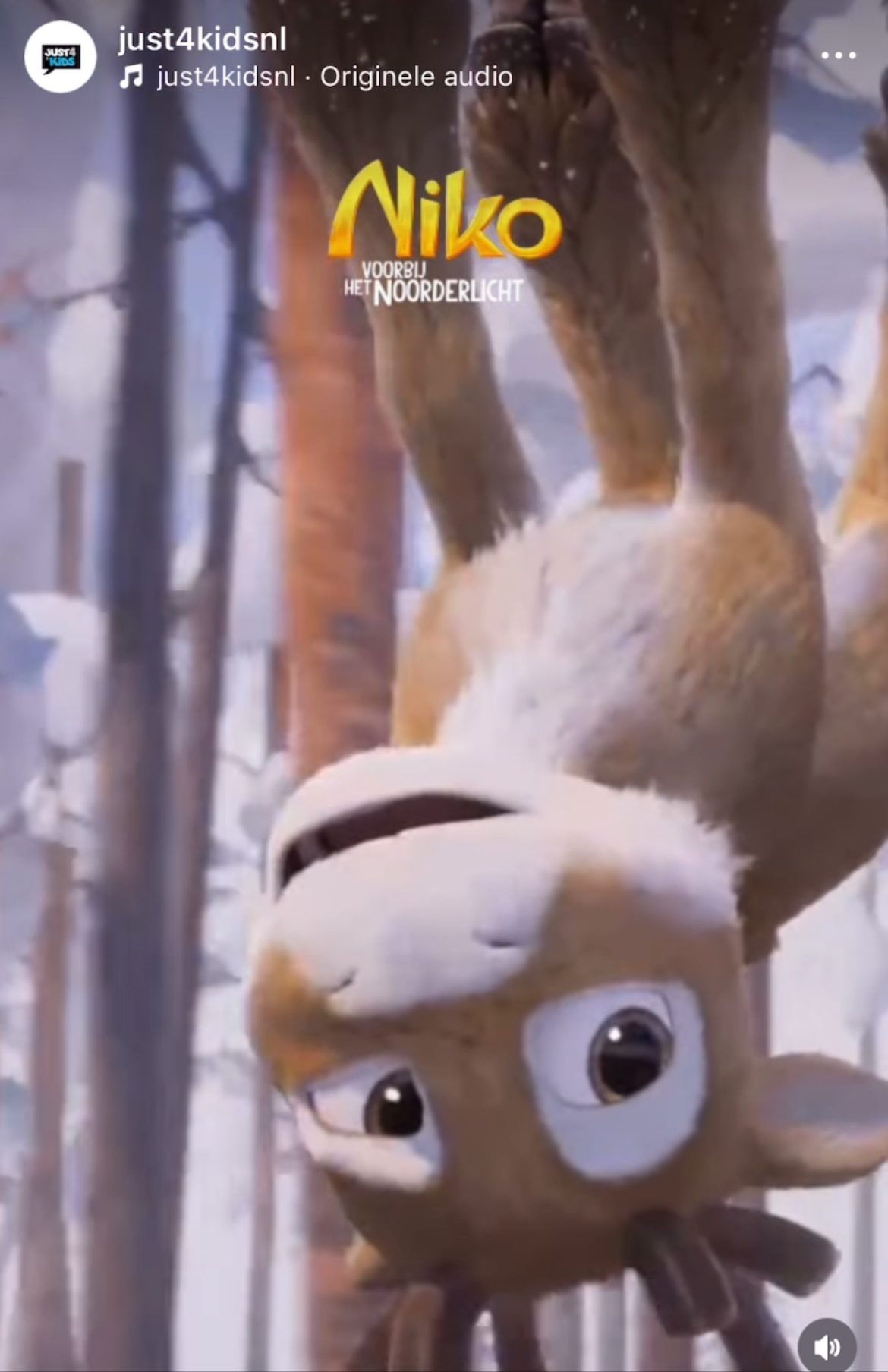 Sil van der Zwan - Film - Niko voorbij het Noorderlicht