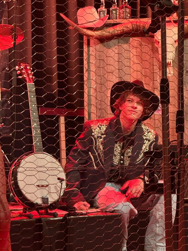 Sil van der Zwan - Countryband