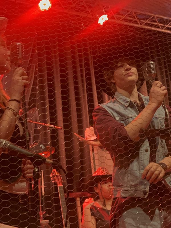 Sil van der Zwan - Countryband